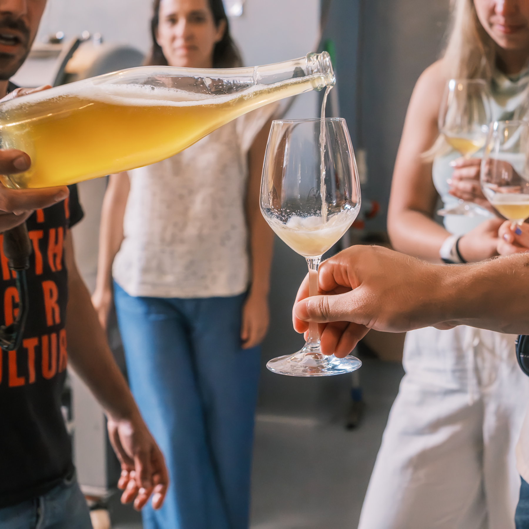 SETE - Dalla Vigna alla Cantina